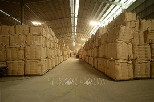 Giải quyết đầu ra cho lúa gạo vùng Đồng Tháp Mười (Bài cuối)