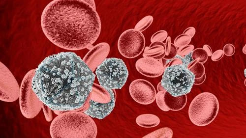 Virus trong máu có thể gây các bệnh về tiêu hóa