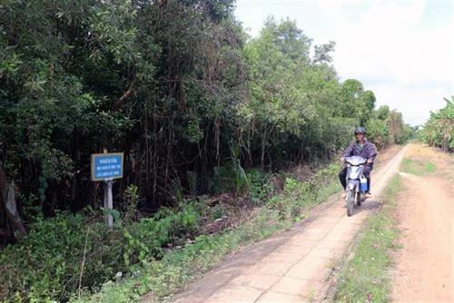 Tăng thu nhập từ nhận khoán bảo vệ rừng