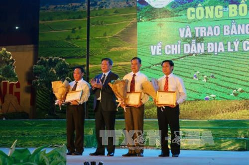 Hội trà cao nguyên Mộc Châu tôn vinh trà Shan Tuyết