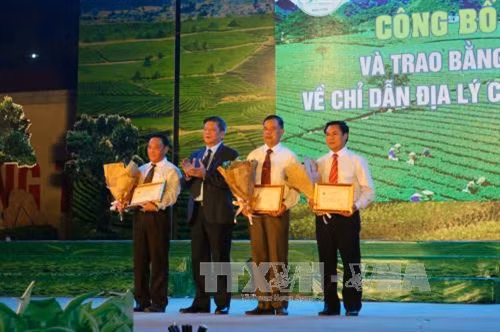 Hội trà cao nguyên Mộc Châu tôn vinh trà Shan Tuyết