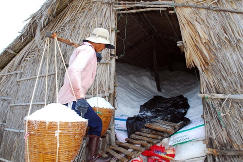 TP. Hồ Chí Minh: Muối mất giá, diêm dân điêu đứng