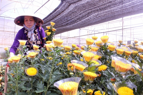 Công nhận Đông Anh là huyện nông thôn mới
