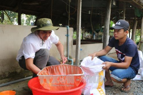 Làm giàu trên mảnh đất quê hương