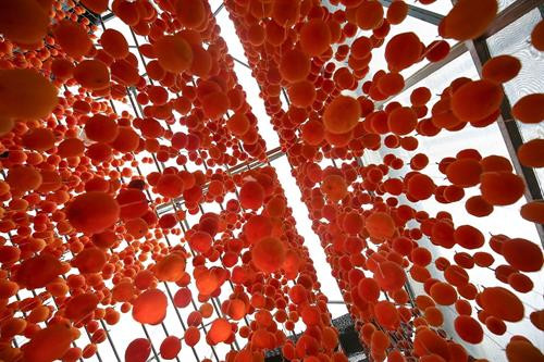 Kỳ công như làm hồng treo gió Đà Lạt