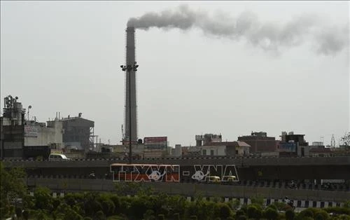 Lý giải khoa học về ảnh hưởng tiêu cực của ô nhiễm không khí đối với trẻ sơ sinh