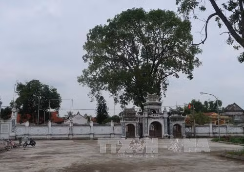 Diện mạo mới ở vùng quê cách mạng Hợp Tiến