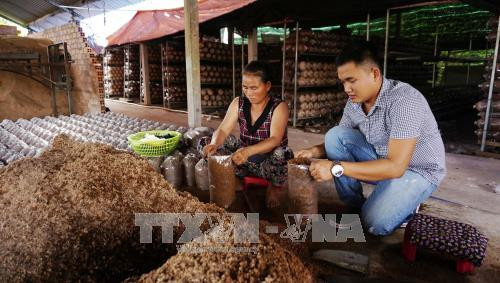 Thành phố Hồ Chí Minh: Khơi thông nguồn vốn cho hợp tác xã kiểu mới