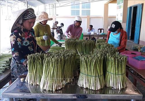 Ninh Thuận tập trung nguồn lực cho công tác giảm nghèo bền vững