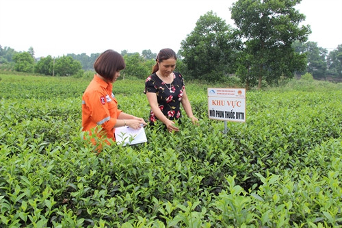 Thái Nguyên: Gần 5 tỷ đồng hỗ trợ phục hồi kinh tế vùng bị ảnh hưởng bởi dự án Núi Pháo