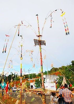 Cây lồ ô trong đời sống của đồng bào M’Nông