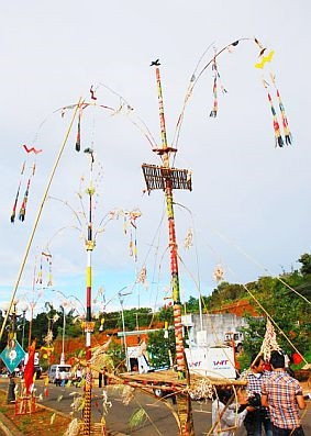 Cây lồ ô trong đời sống của đồng bào M’Nông