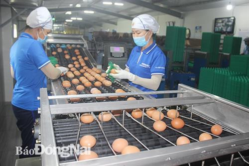 Đồng Nai sẽ đầu tư trên 28.000 tỷ đồng xây dựng Xuân Lộc thành huyện nông thôn mới kiểu mẫu