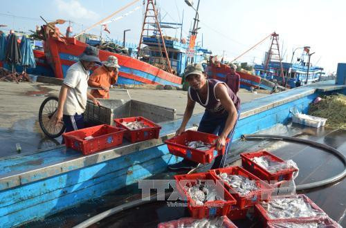 VASEP phối hợp với Cảnh sát biển chống đánh bắt thủy sản bất hợp pháp