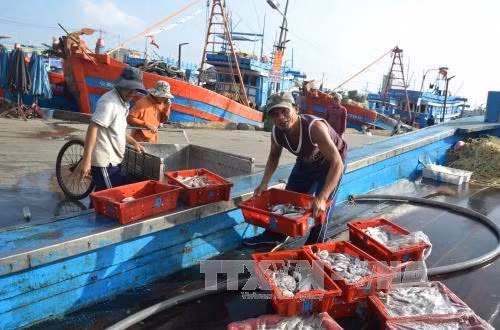 VASEP phối hợp với Cảnh sát biển chống đánh bắt thủy sản bất hợp pháp