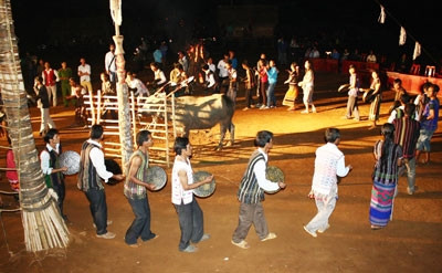 Độc đáo Lễ hội “Ăn trâu cúng thần được một ngàn gùi lúa” của người Mạ