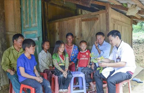 Tuyên truyền vận động người dân vùng cao từ bỏ cây lá ngón