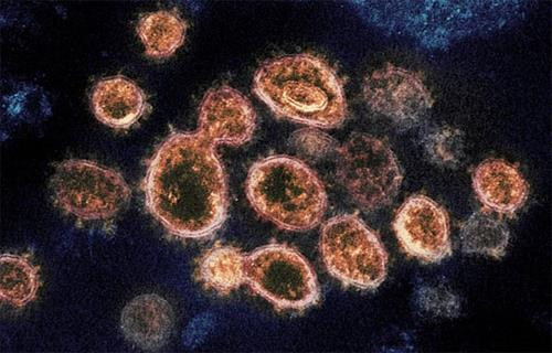 Dịch viêm đường hô hấp cấp COVID-19: Virus SARS-CoV-2 chủ yếu gây tổn thương phổi