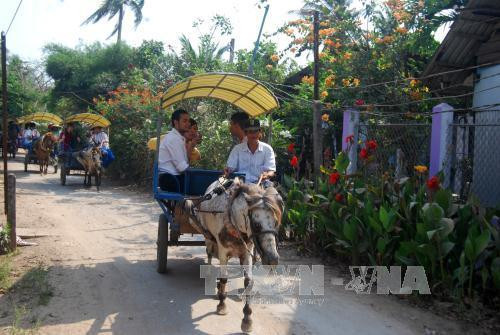 Bến Tre đẩy mạnh xây dựng sản phẩm du lịch đặc thù