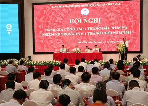 Tạo cơ chế thuận lợi cho các hợp tác xã phát triển
