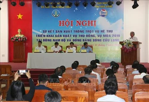 Hai phương án sản xuất lúa cho Đồng bằng sông Cửu Long