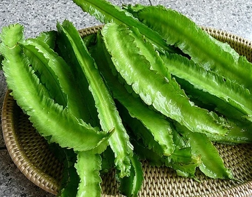 Lợi ích từ đậu rồng