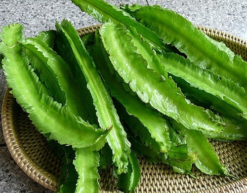 Lợi ích từ đậu rồng