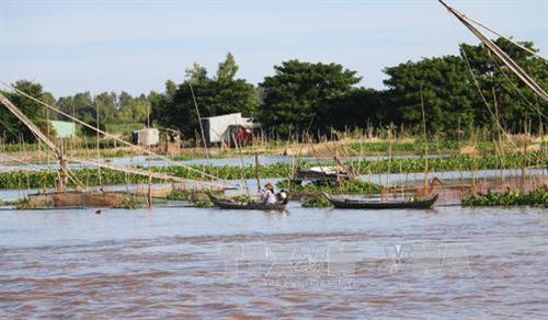 Điều chỉnh chính sách xây dựng cụm dân cư vùng ngập lũ Đồng bằng sông Cửu Long