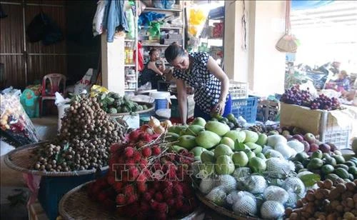 Thanh lọc thực phẩm bẩn trong dịp Tết