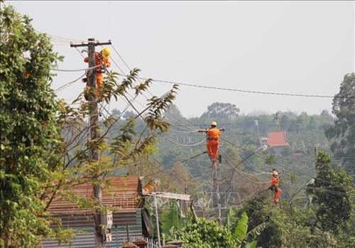 Gia Lai không để thiếu điện phục vụ tưới tiêu mùa khô