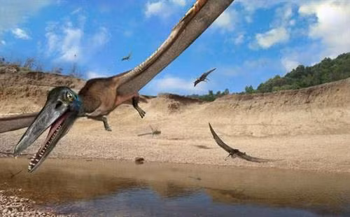 Phát hiện hóa thạch khủng long mới tại Australia
