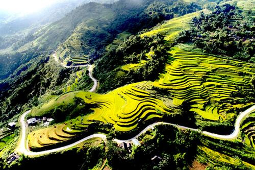 Sắc xuân trên đỉnh Hồng Thái