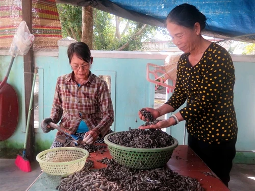 Việc làm cho hội viên phụ nữ vùng biển