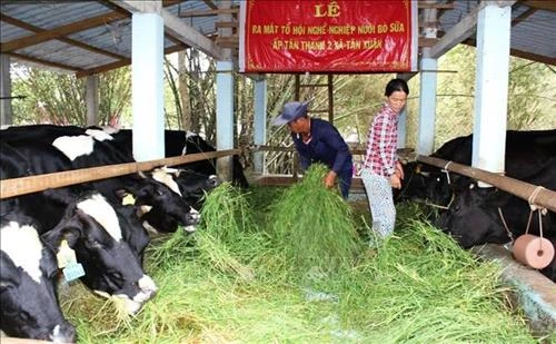 Bến Tre chuyển đổi sản xuất gắn với thích ứng biến đổi khí hậu