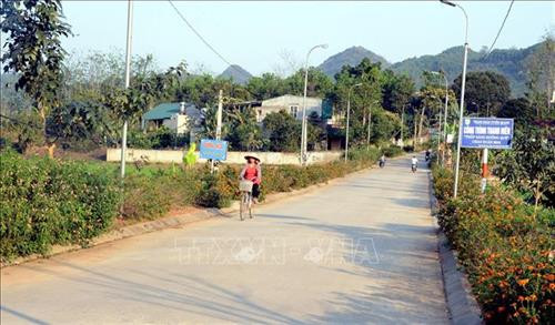 Tuyên Quang: Những đảng viên gương mẫu đi đầu ở cơ sở 