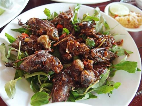 Chim mía đặc sản của đất võ Tây Sơn