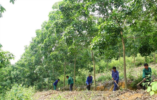 Phát huy tính tự lực trong giảm nghèo ở Than Uyên