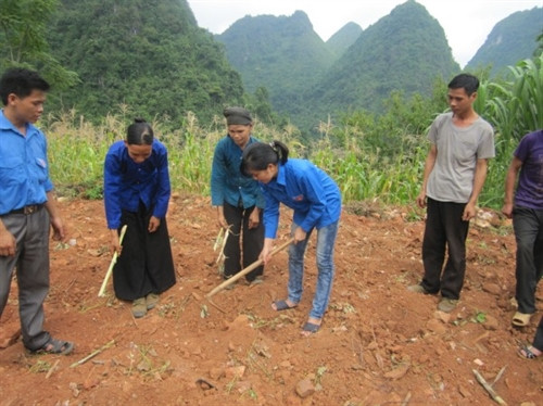 Dự án 600 Phó Chủ tịch xã có tác động tích cực
