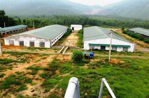 Các mô hình trang trại thành công nên tham khảo