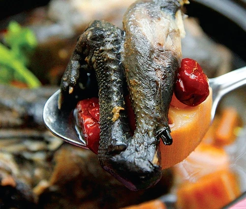 Nhớ lẩu gà đen Sa Pa