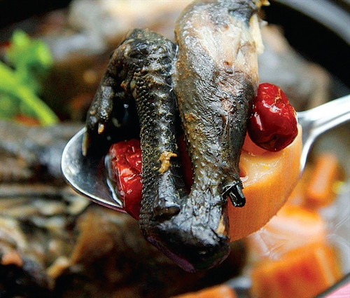 Nhớ lẩu gà đen Sa Pa