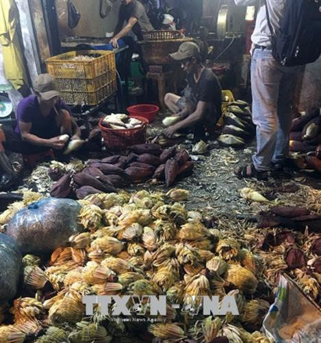 Thành phố Hồ Chí Minh phát hiện hai cơ sở sơ chế hoa chuối ngâm hóa chất