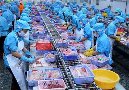 Dấu ấn trong tăng trưởng nông nghiệp