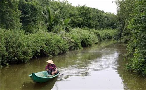 Bạc Liêu tăng cường quản lý rừng phòng hộ ven biển