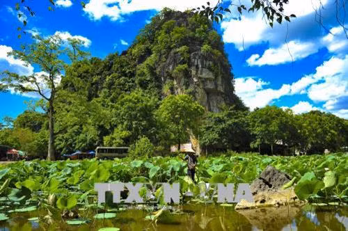 Du lịch trực tuyến (Bài 2)