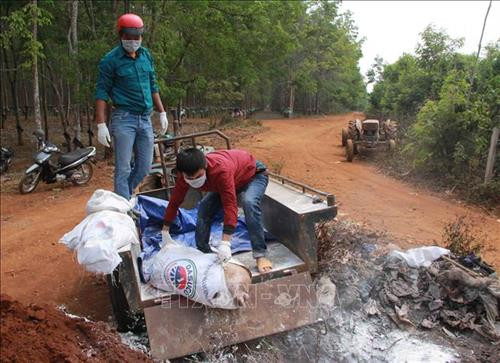 Đắk Lắk cơ bản đã khống chế được dịch lở mồm long móng