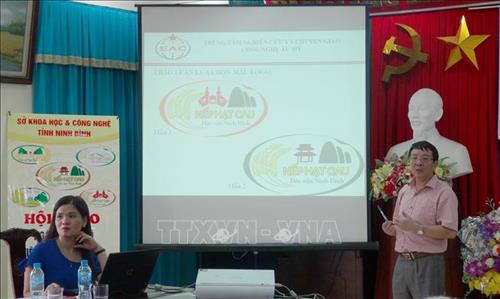 Phát triển thương hiệu, nâng cao tính cạnh tranh của nếp hạt cau Ninh Bình