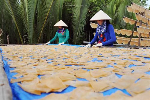 Làng nghề bánh phồng tôm ở Cà Mau nhộn nhịp vào vụ 