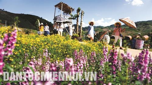 Mộc Châu phát triển du lịch cộng đồng
