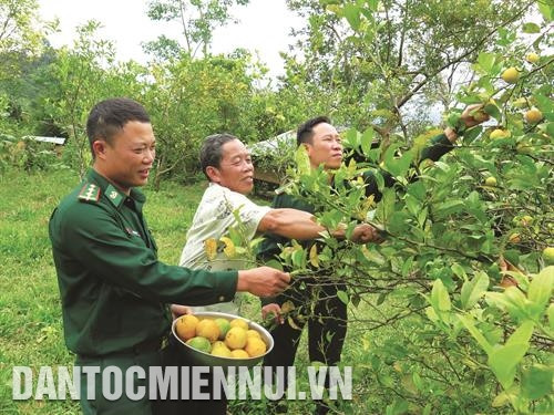 Quảng Nam xây dựng vững chắc thế trận biên phòng toàn dân